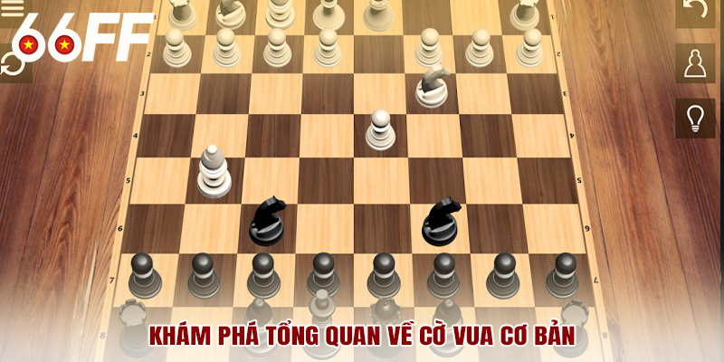Khám phá tổng quan về cờ vua cơ bản
