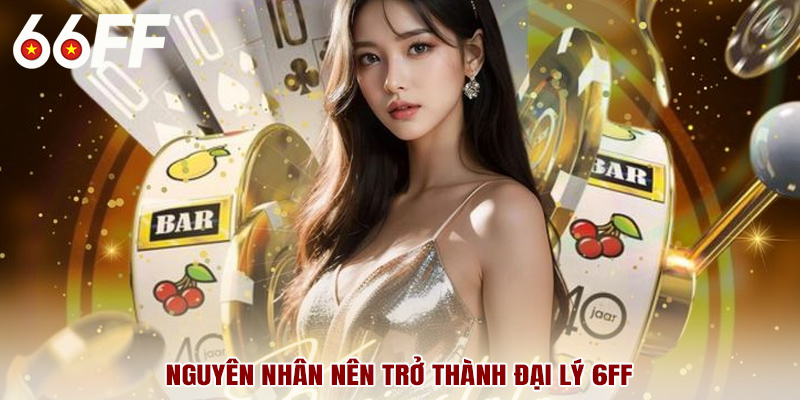 Nguyên nhân nên trở thành đại lý 6FF